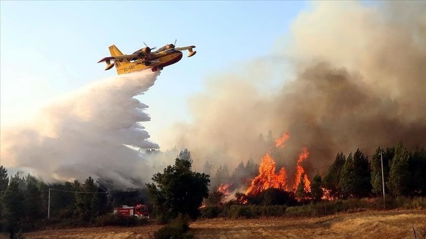 Wildfire and Home Insurance: What You Need to Know