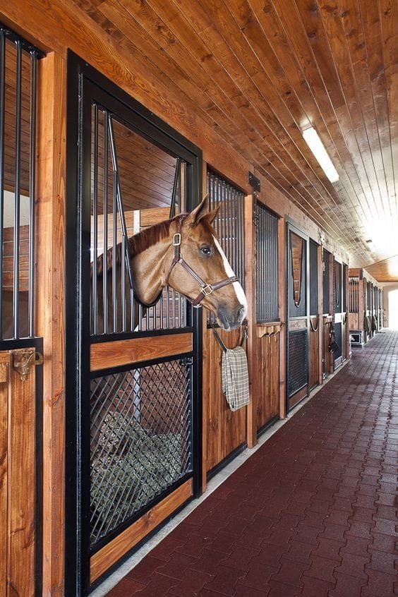 Equestrian Shops Costa del Sol | Tack & Feed